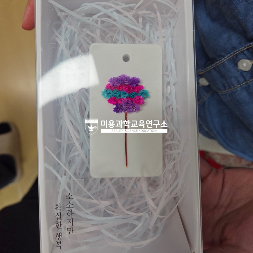 e79648a425bc6f91151ab101425683fd_1762593571_1215.png e79648a425bc6f91151ab101425683fd_1762593571_1215.png